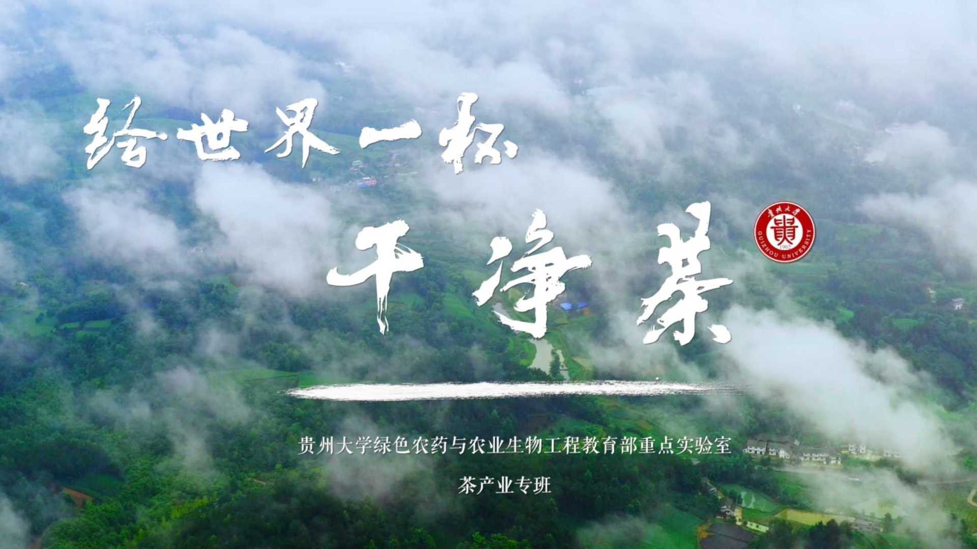 《给世界一杯干净茶》贵州大学茶产业宣传片