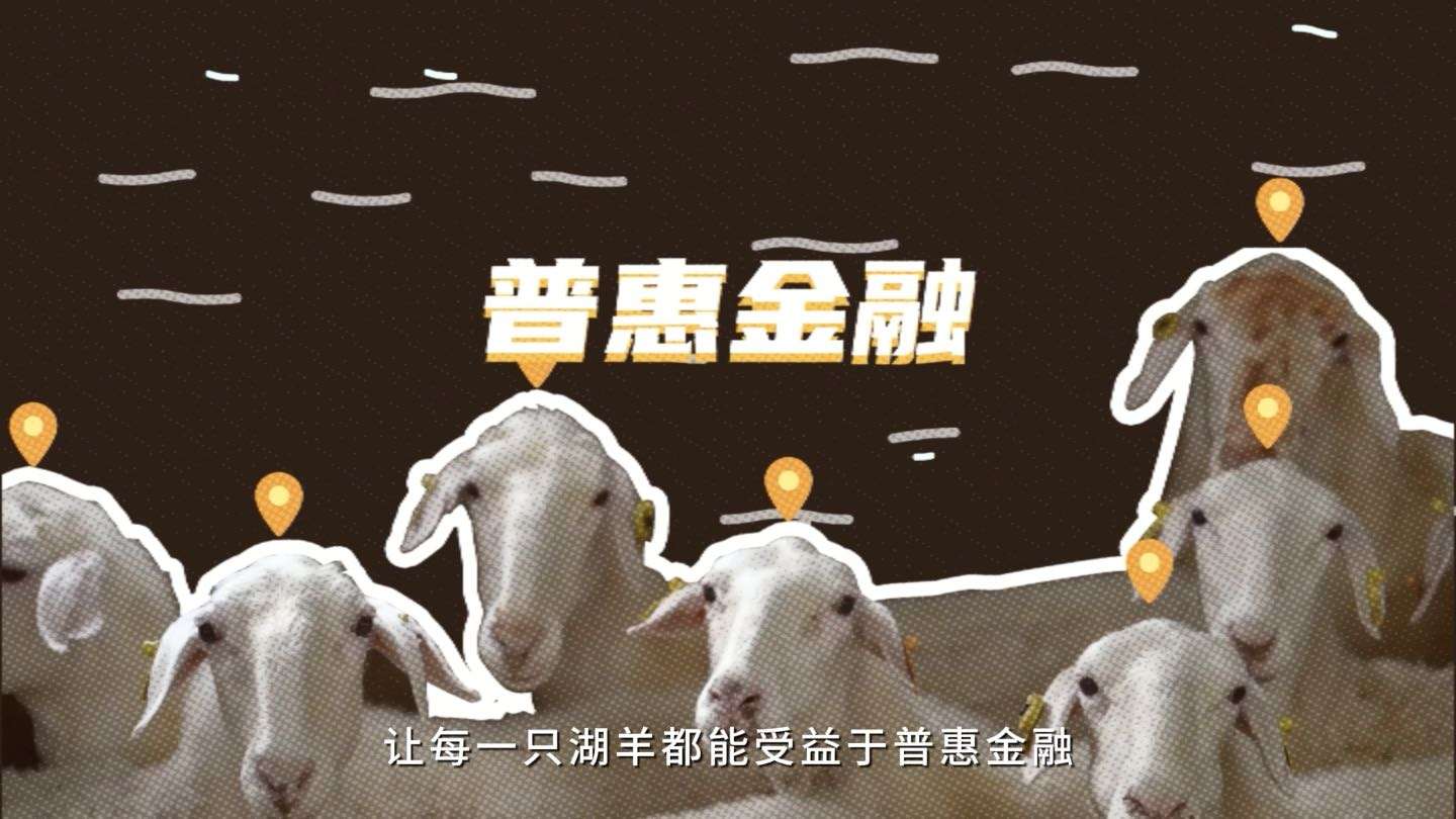 《湖羊小传》京东科技普惠金融MG动画