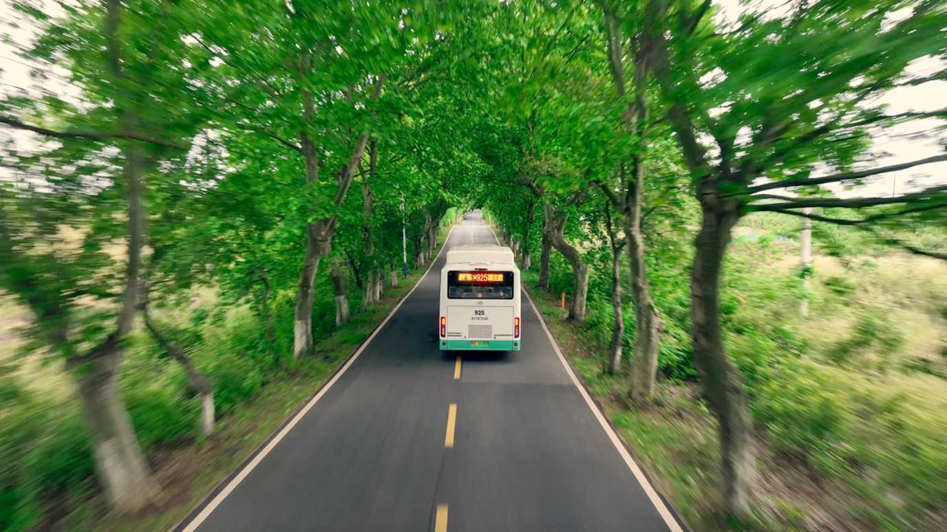 【航拍一镜到底纯享版】在武汉江夏最美公路跟着925路公交车一起开进漫画里