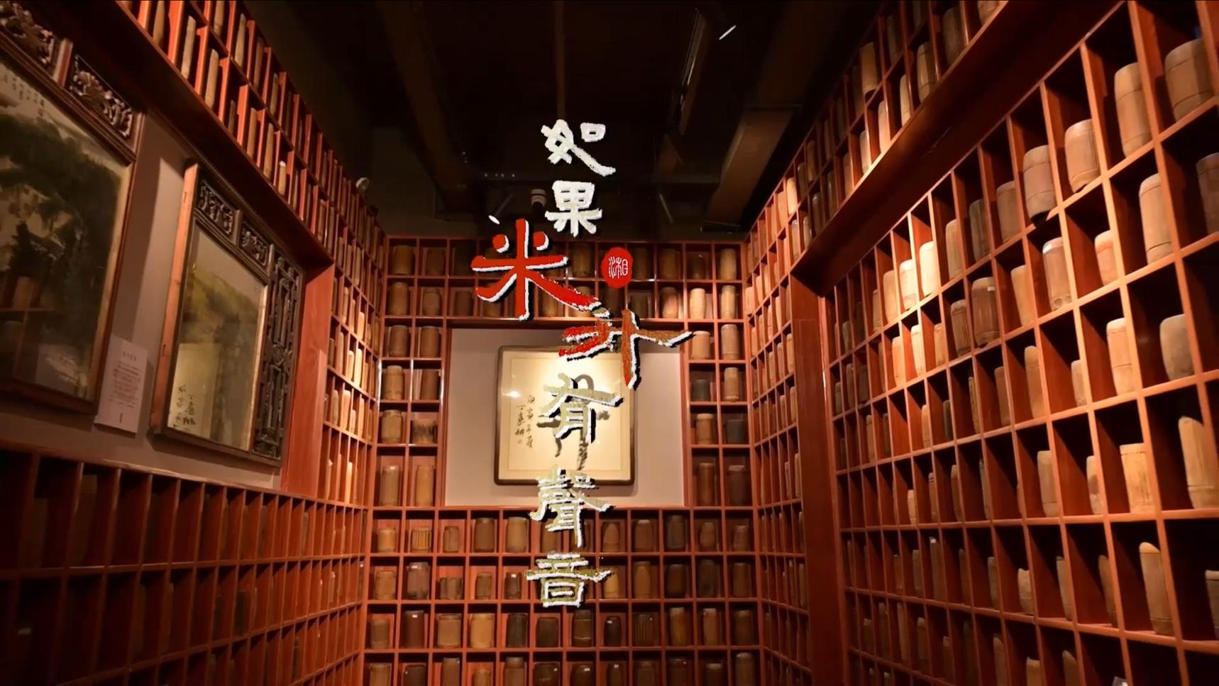 2022湖南省数媒创意设计大赛省二—博物馆纪录片《如果米升有声音》