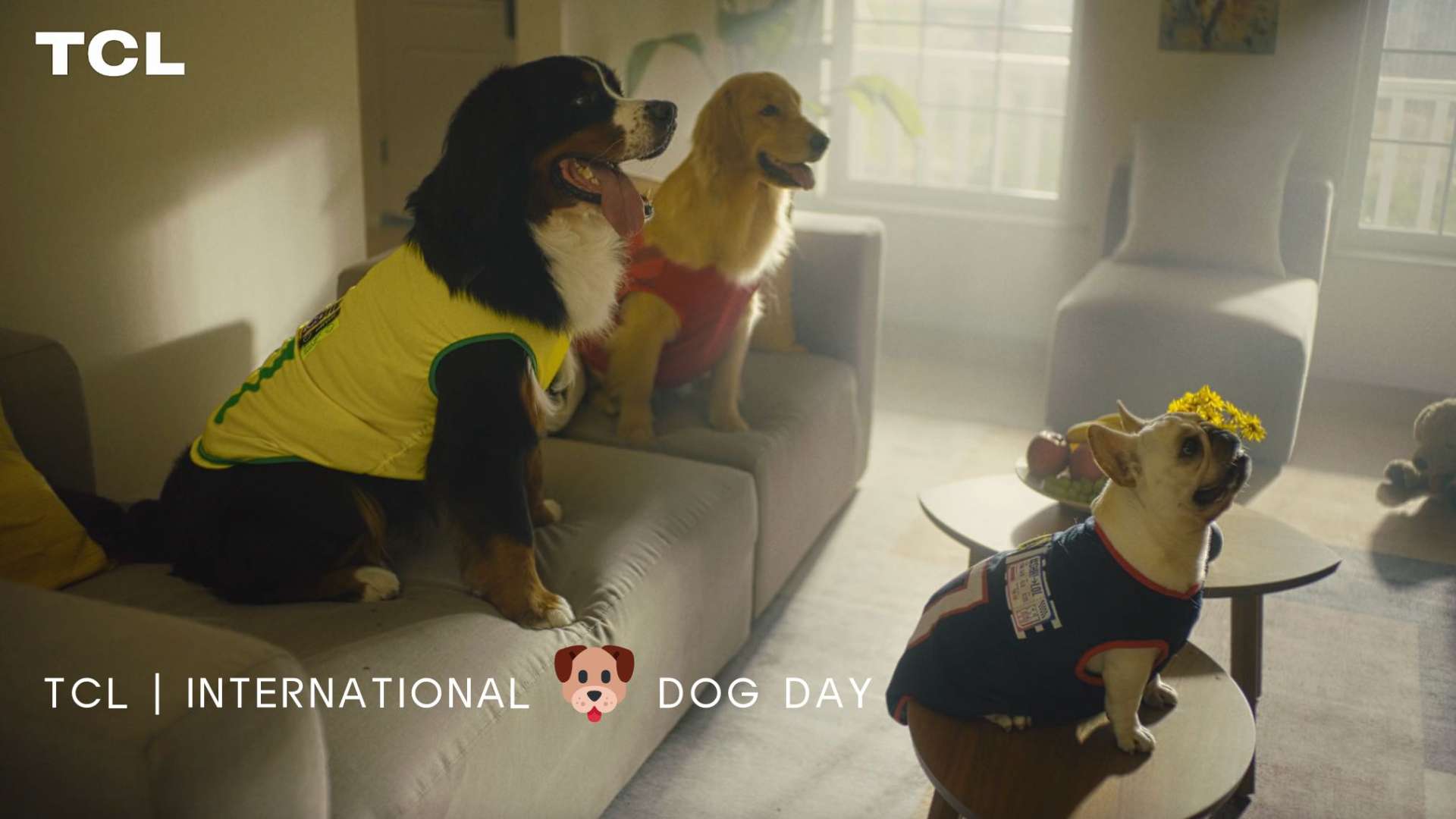 TCL | International Dog Day
