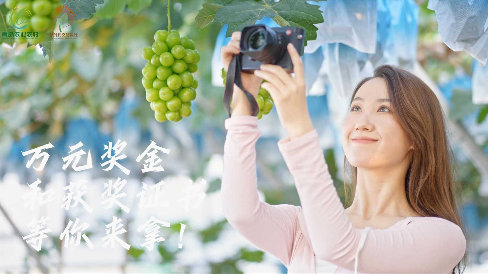 农业农村局短视频大赛预告片