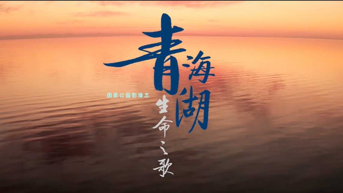 纪录片《青海湖生命之歌》