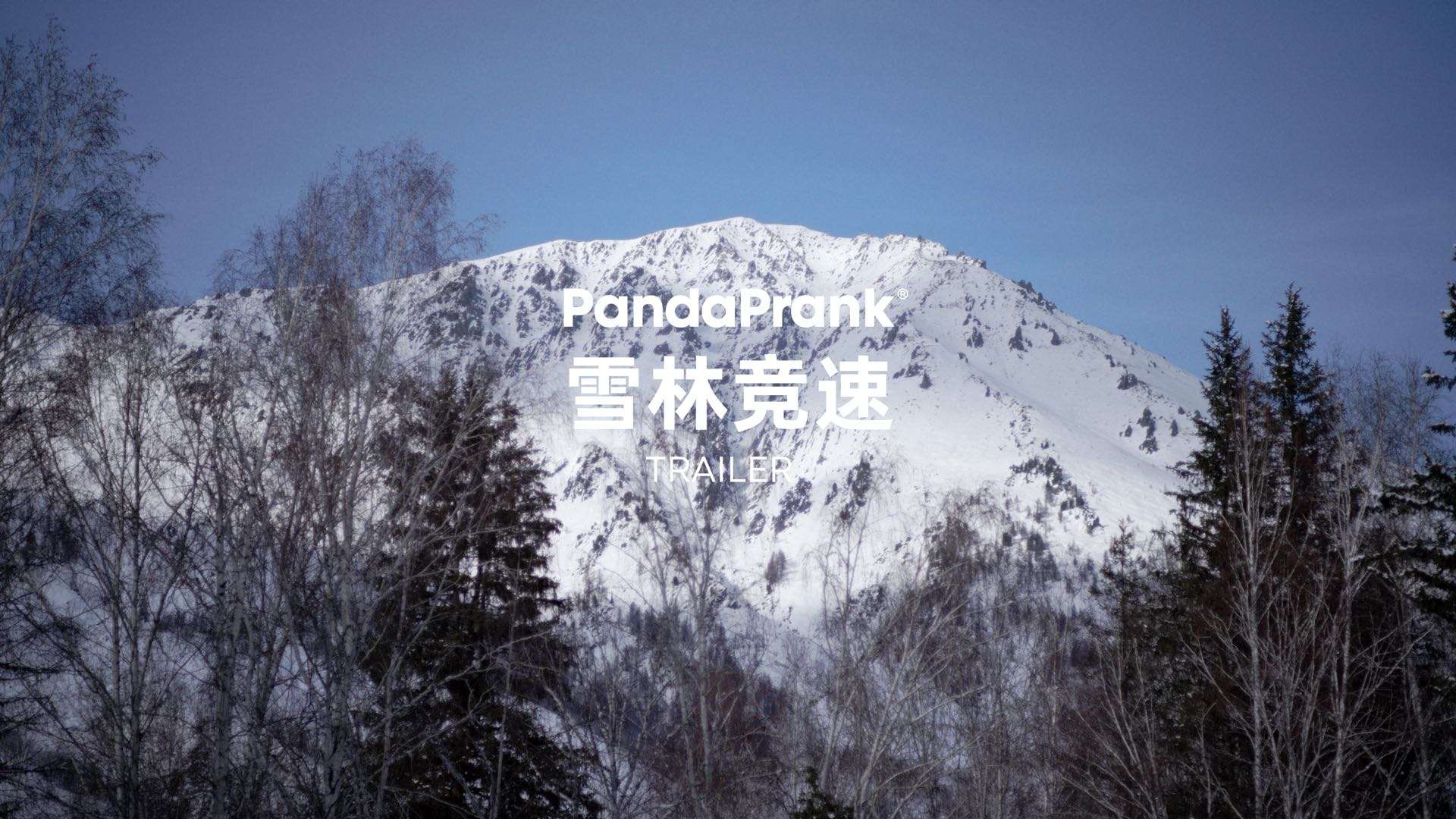 PandaPrank 雪林竞速