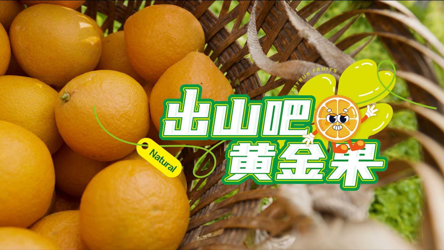 阿里巴巴公益×嘉陵柑橘|《出山吧黄金果》