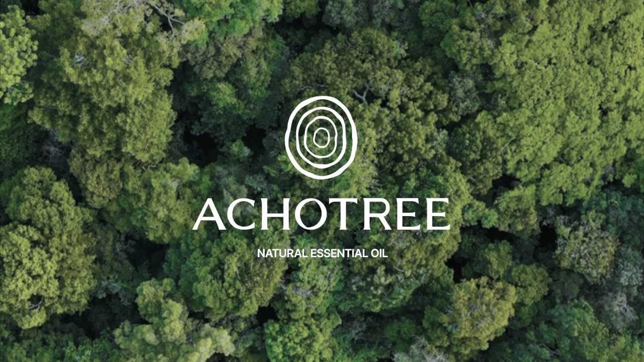 产品短片 | ACHOTREE | 与自然共鸣