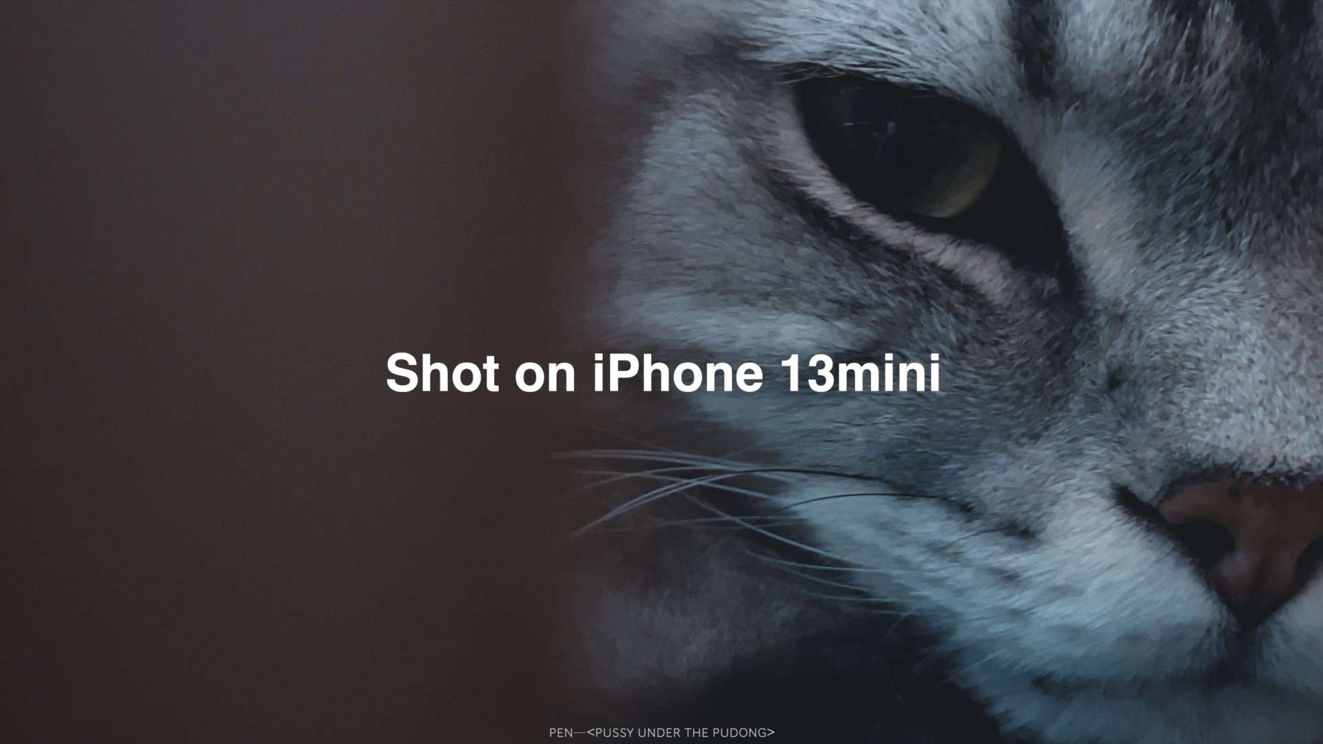iPhone 13mini拍摄｜浦东的对面是浦西