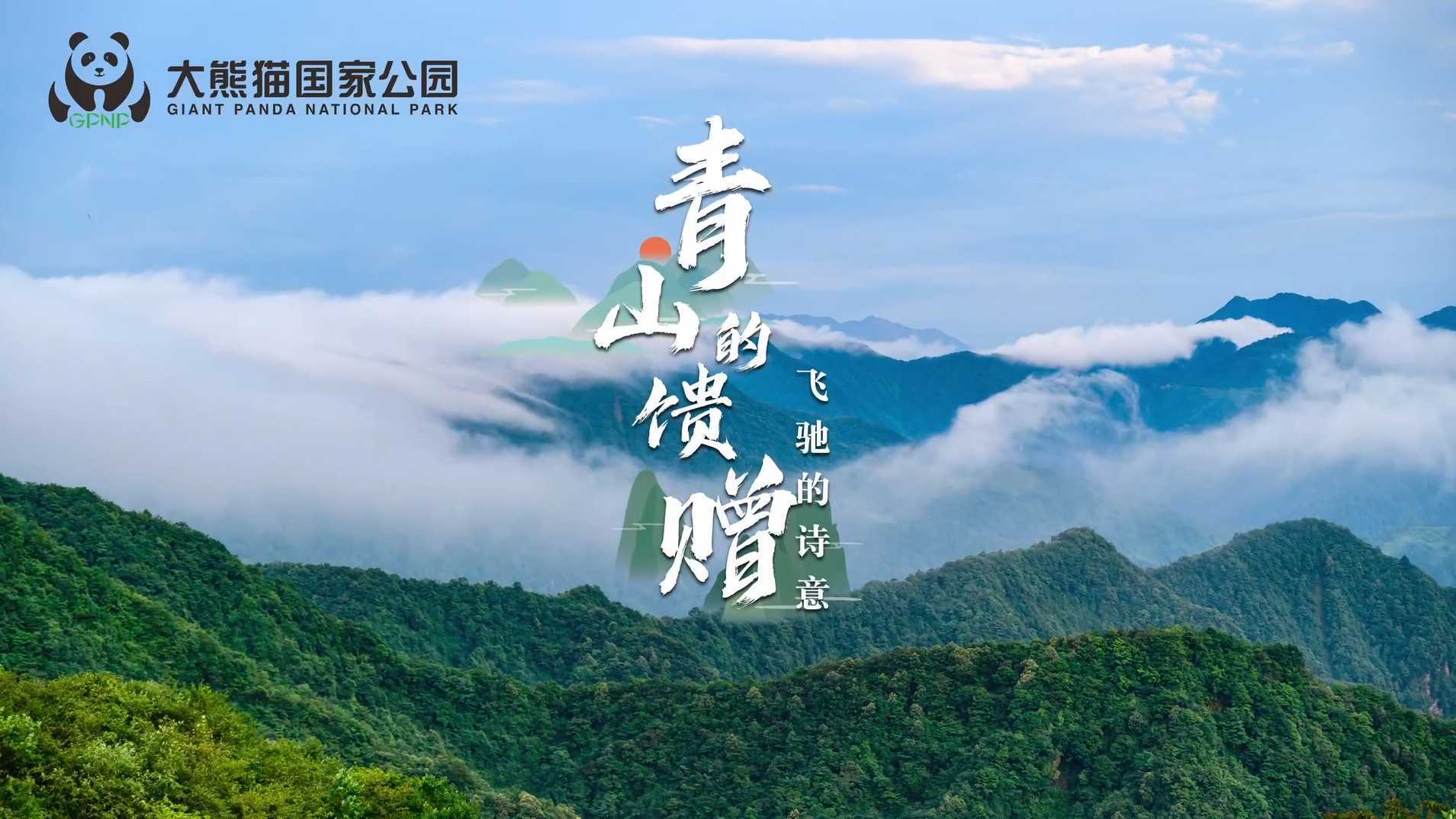 《青山的馈赠飞驰的诗意》大熊猫国家公园生态产品宣传片