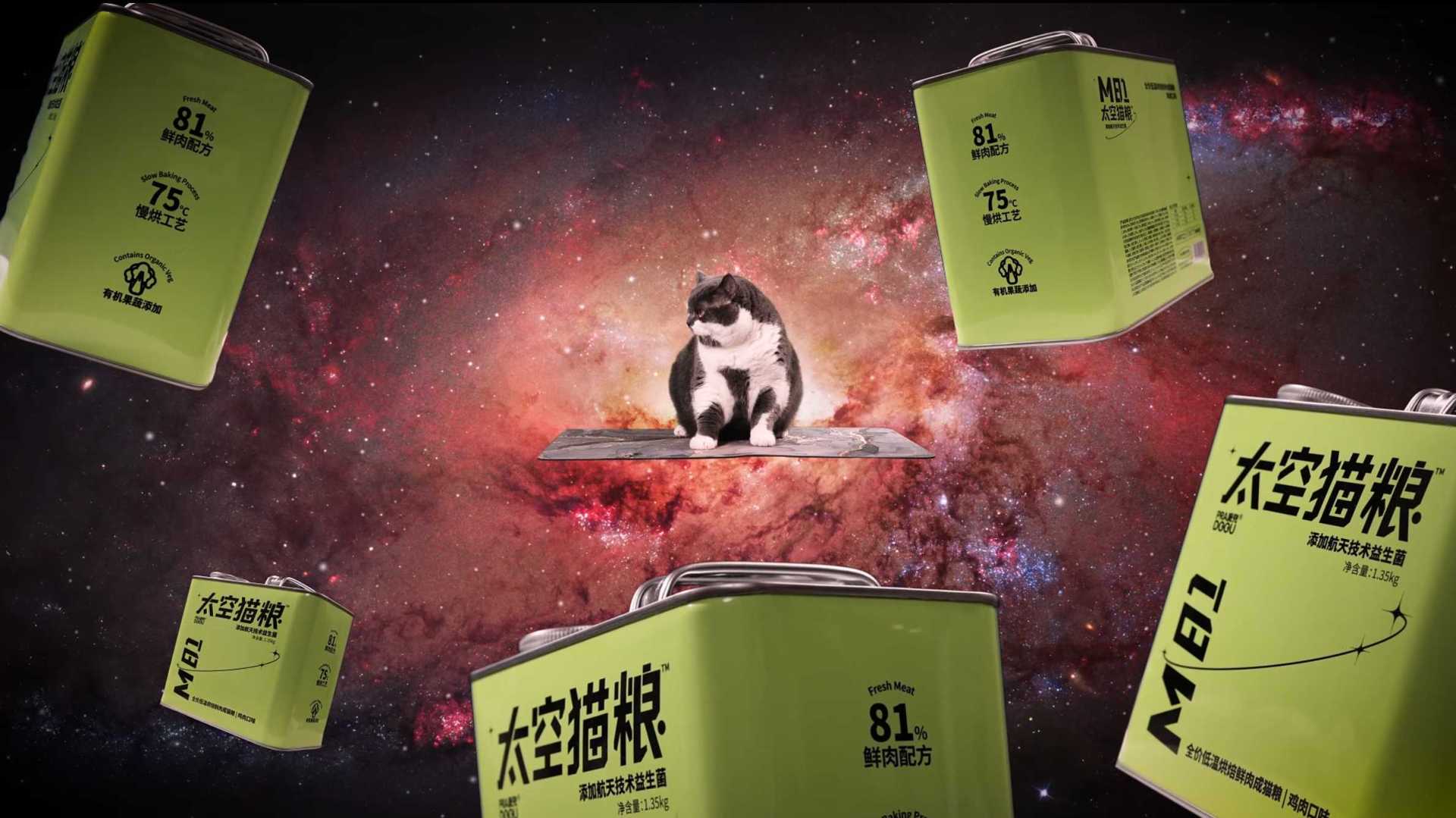 有猫有狗，就是派兜 | 太空猫粮广告