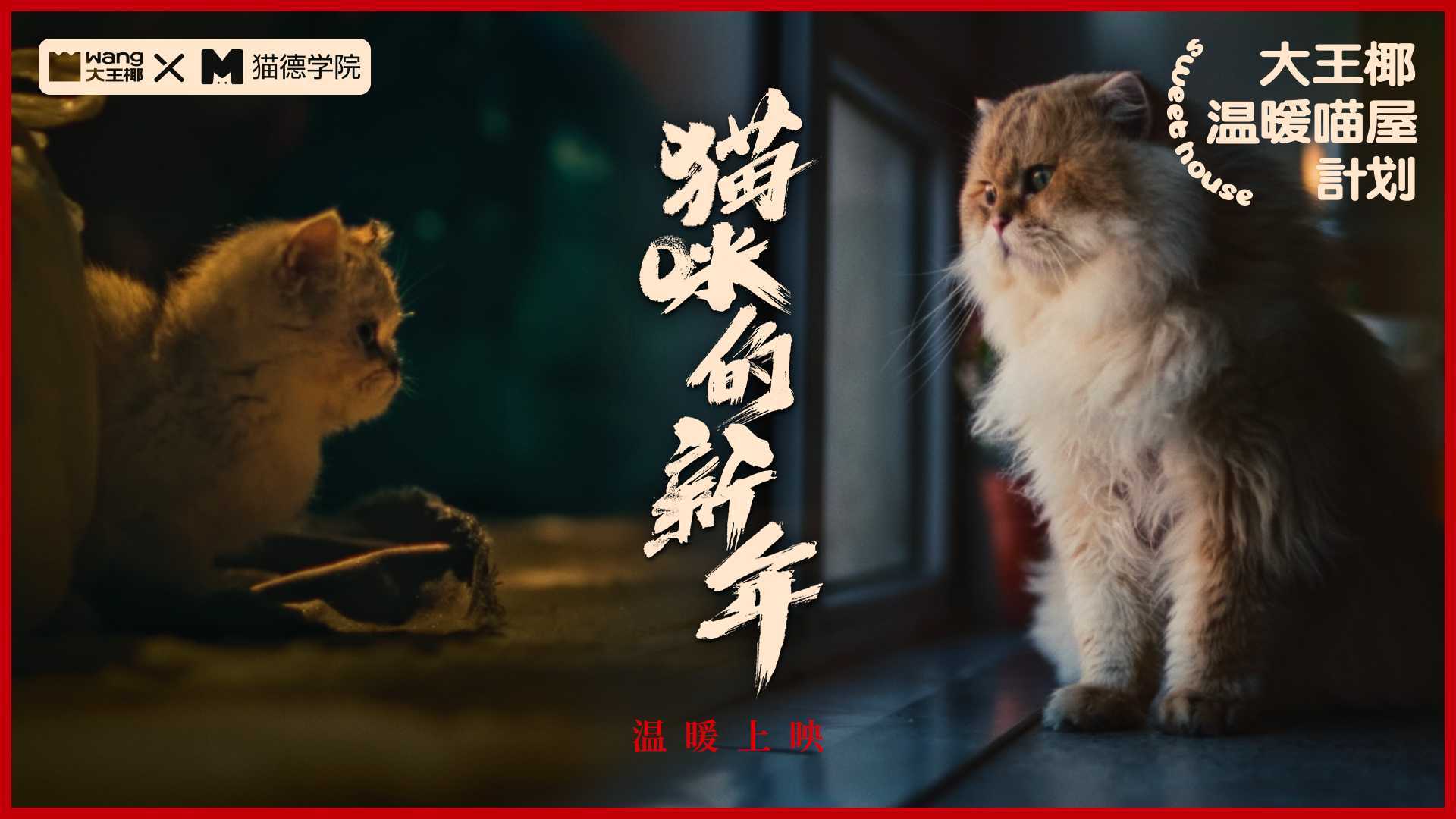 大王椰公益CNY｜《猫咪的新年》