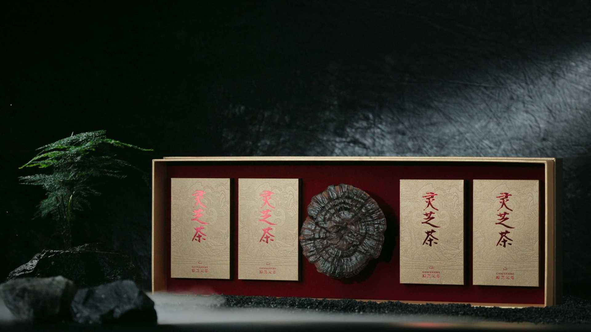 【东集TONJI】高端灵芝礼盒孢子粉养生产品礼盒拍摄