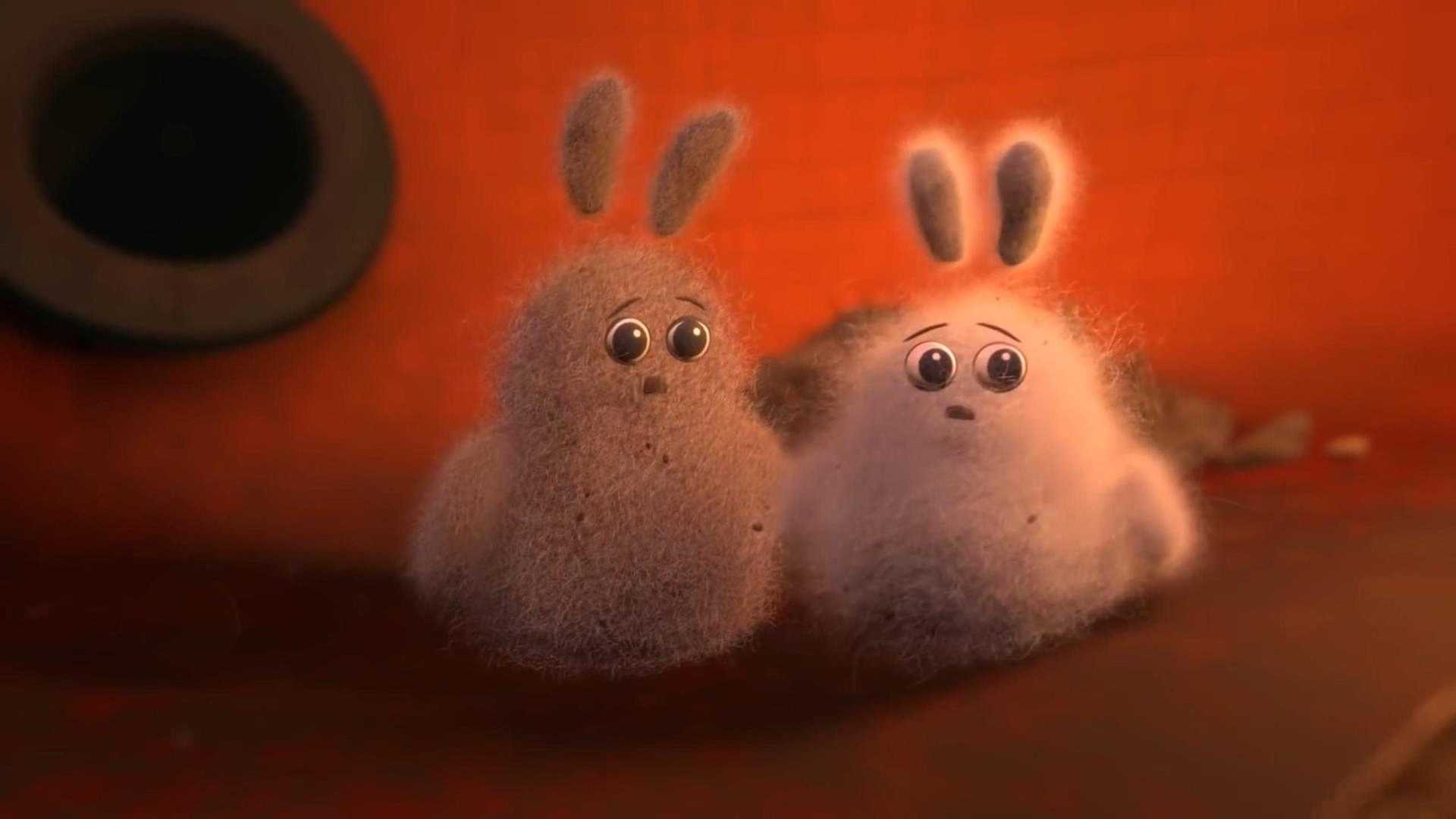 《灰尘兔子》| 精品创意动画