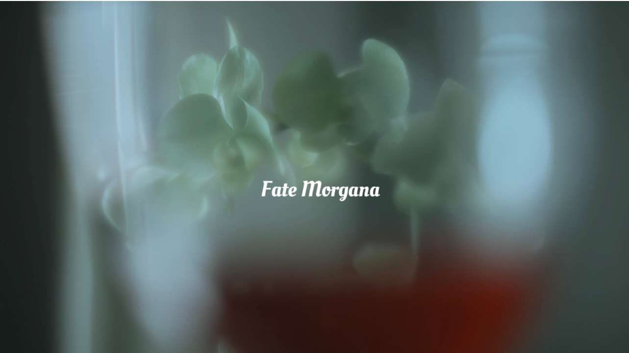 喜徳堂｜複雜蜃景 Fate Morgana