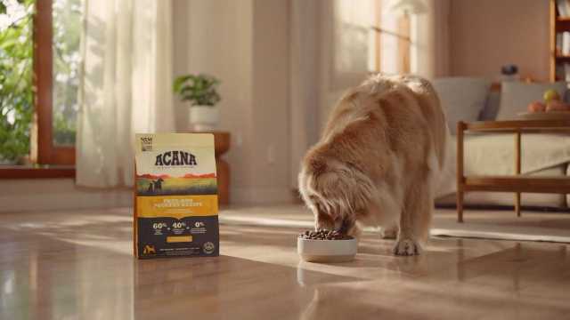 宠物粮食广告片