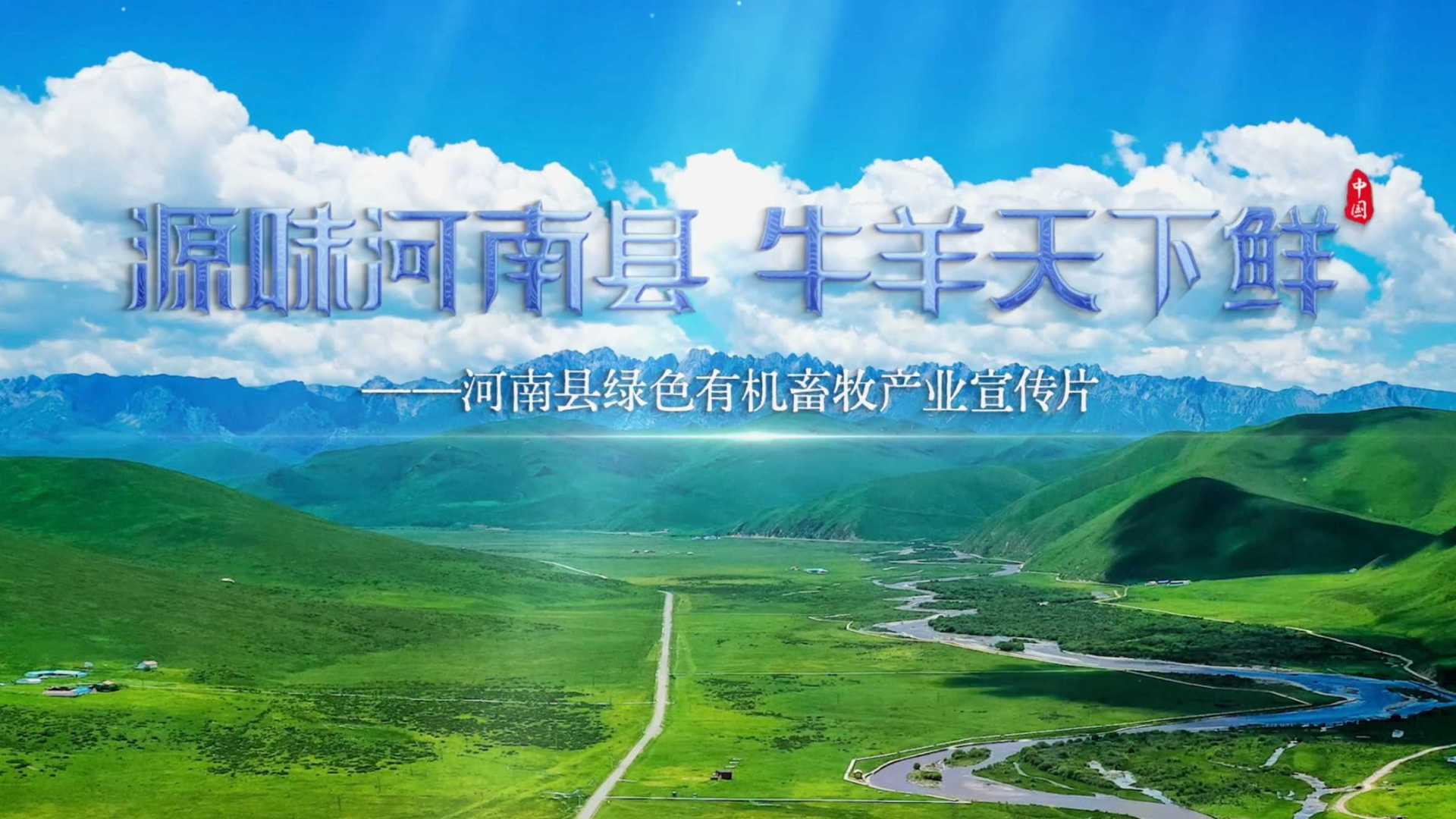 《源味河南县 牛羊天下鲜》河南县有机畜牧业宣传片