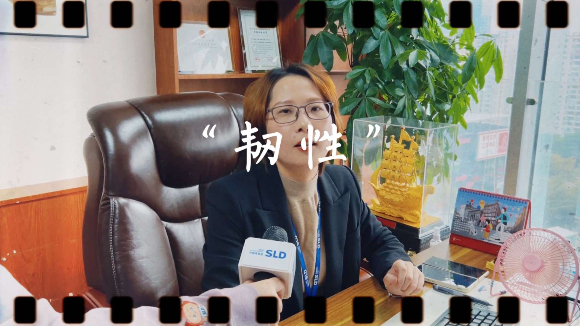 企业宣传片：2022春节总结/祝福
