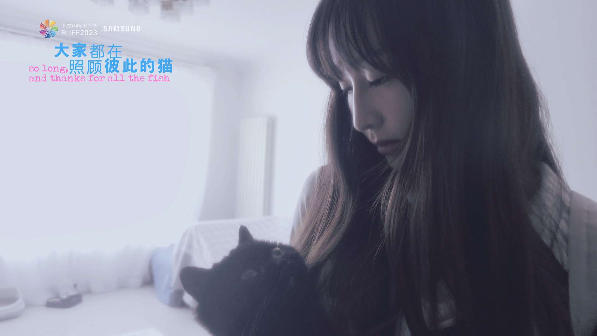 《大家都在照顾彼此的猫》| 北京国际电影节短片单元