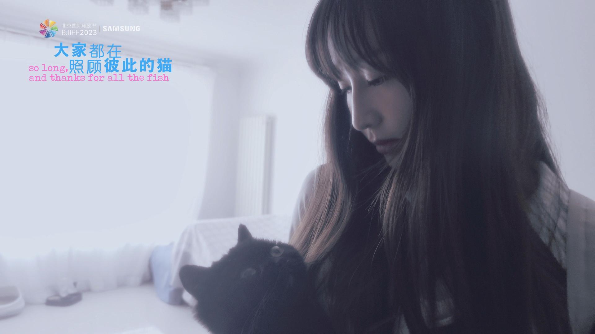 《大家都在照顾彼此的猫》| 北京国际电影节短片单元