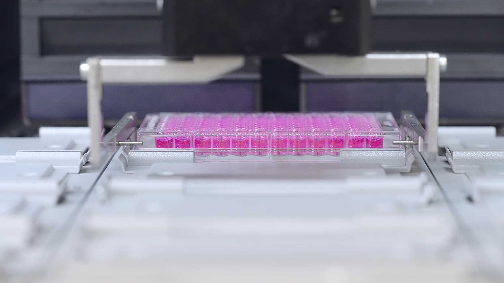创新「肽」度：试剂原料研发微纪录片