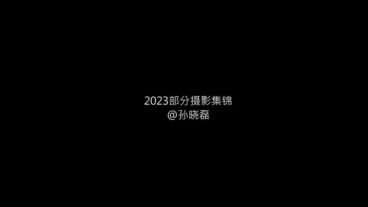2023摄影集锦