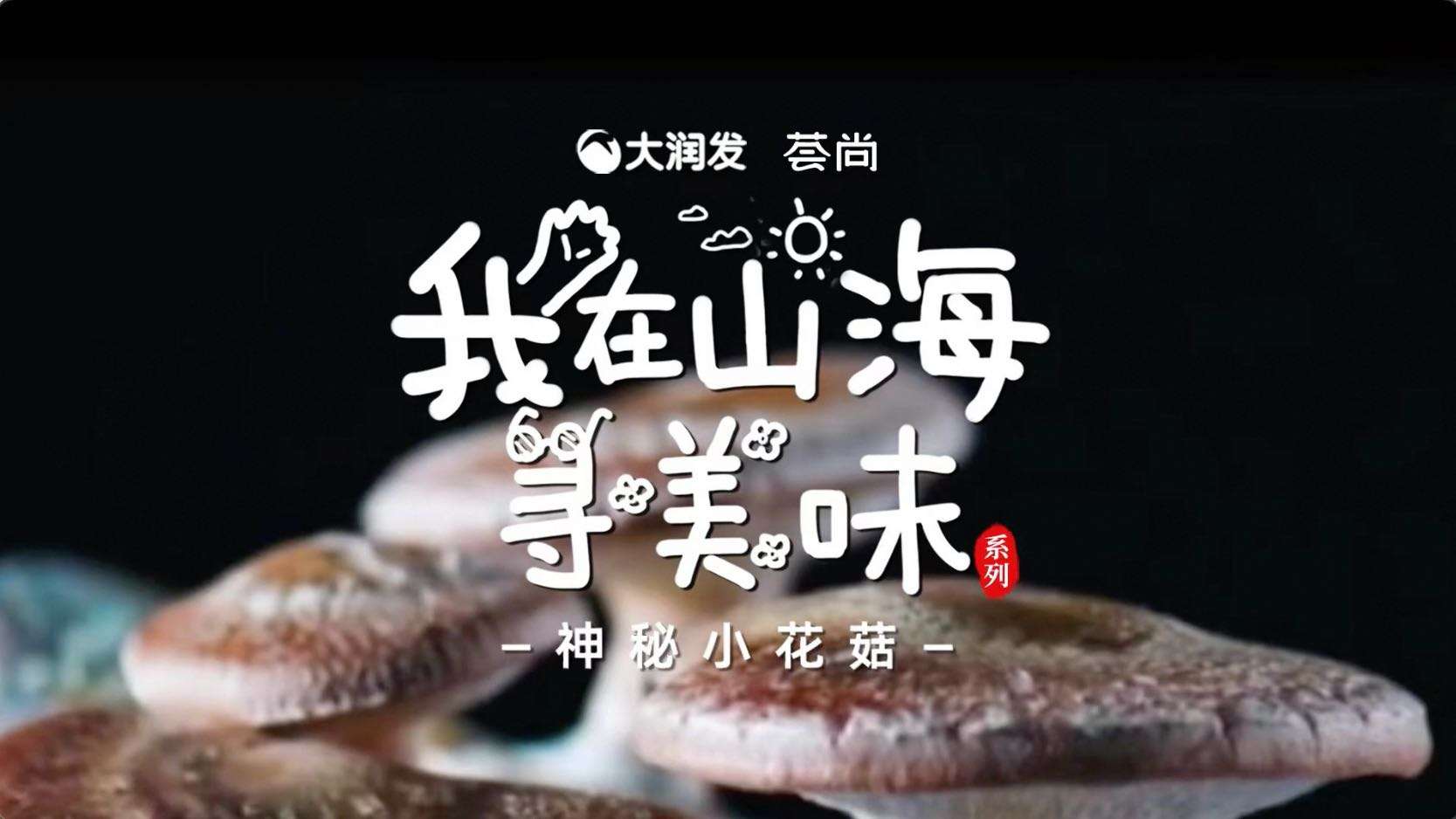 大润发荟尚美食纪录片《我在山海寻美味之神秘小花菇》