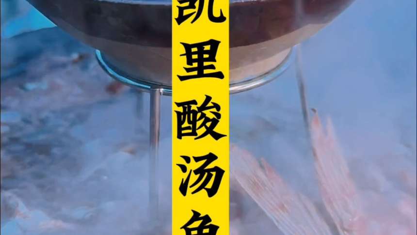 海市蜃楼般的贵州凯里酸汤鱼：香气浓郁，酸辣爽口，肉质鲜嫩，越吃越开胃，越吃越过瘾