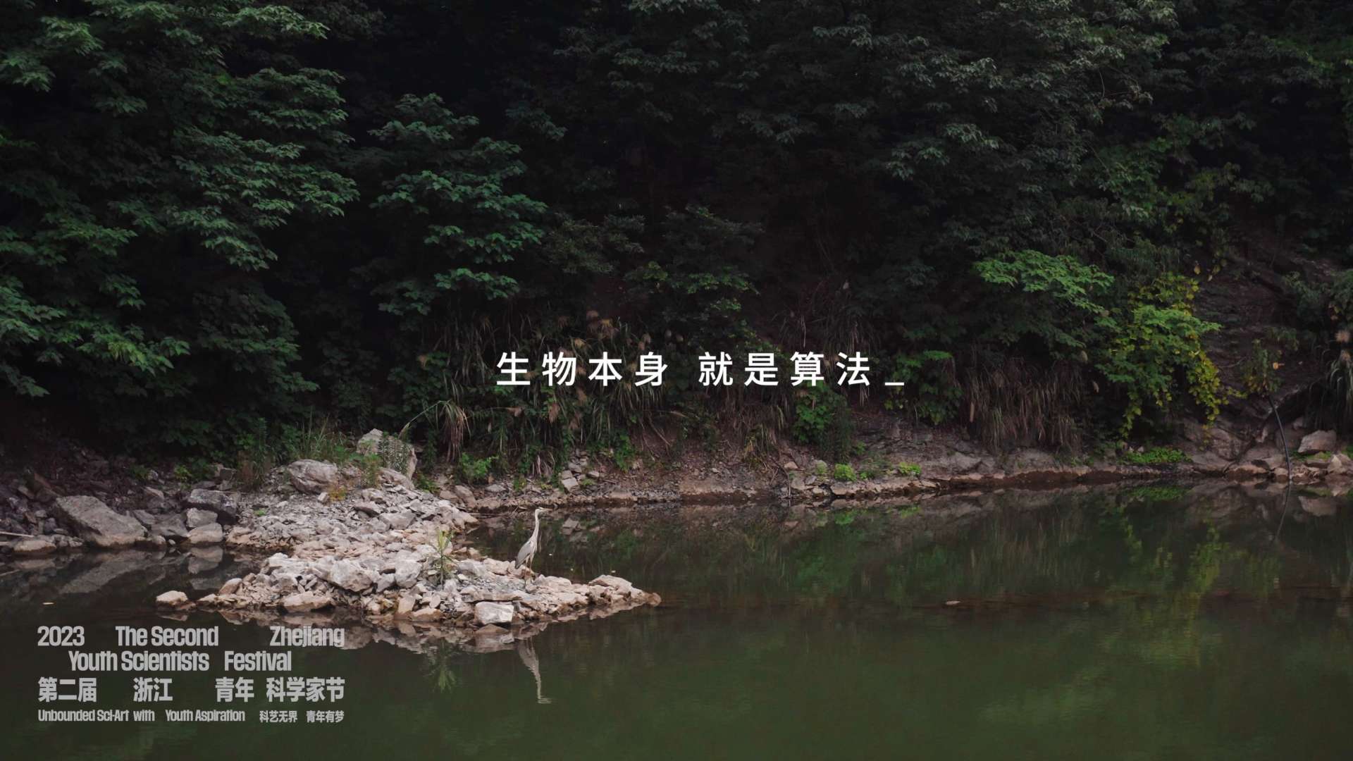 第二届浙江省青年科学家节概念宣传片
