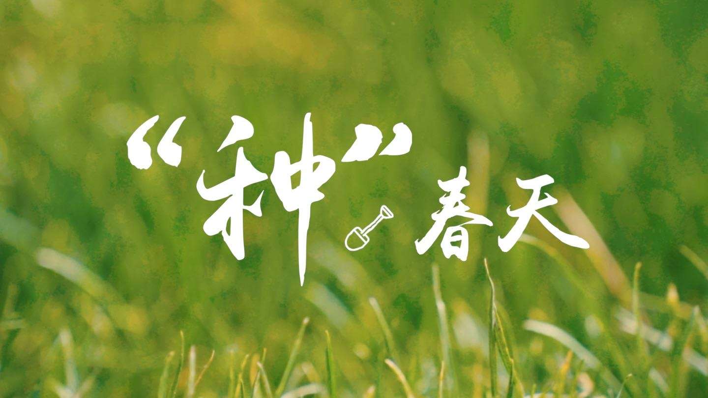 湖北文旅植树节宣传短片《种春天》