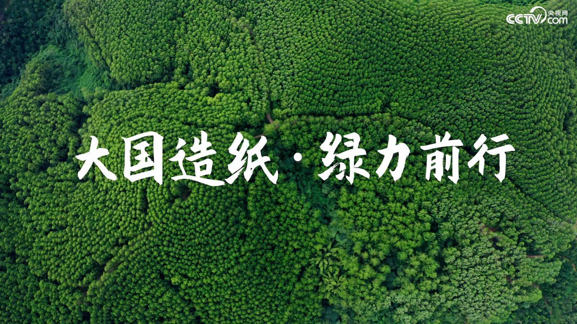 央视网x金光集团【App green】大国造纸·绿力前行