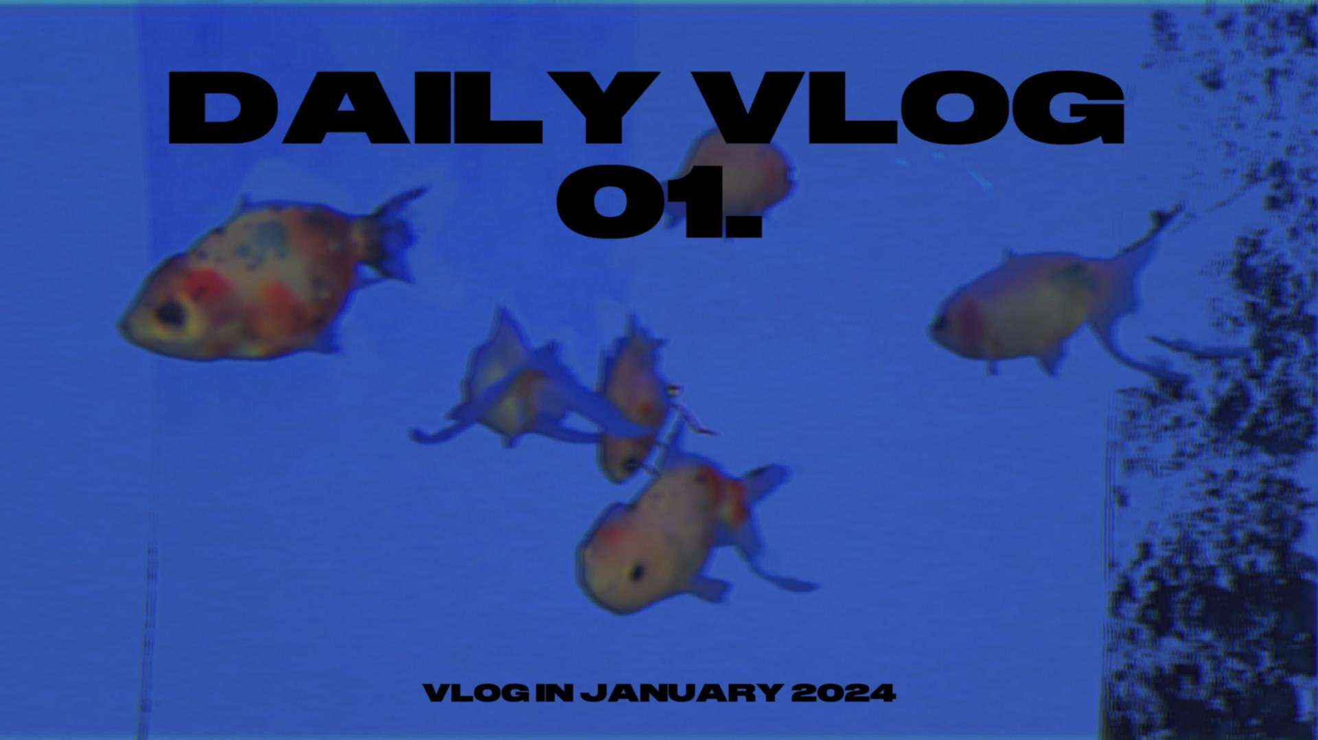 Daily Vlog 01.