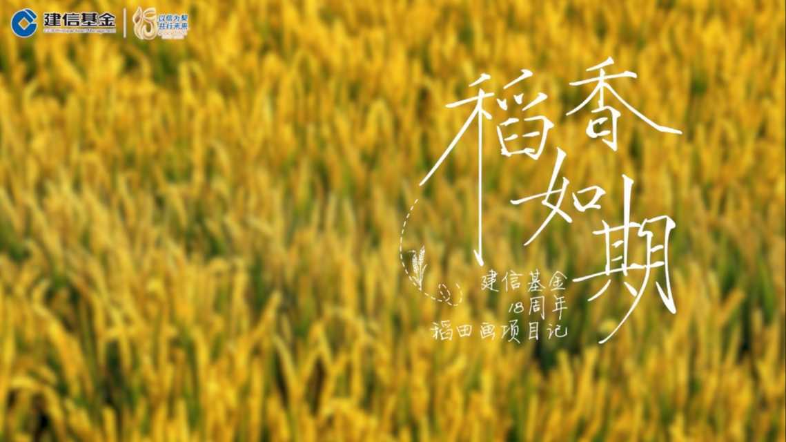 建信基金稻田画视频《稻香如期》