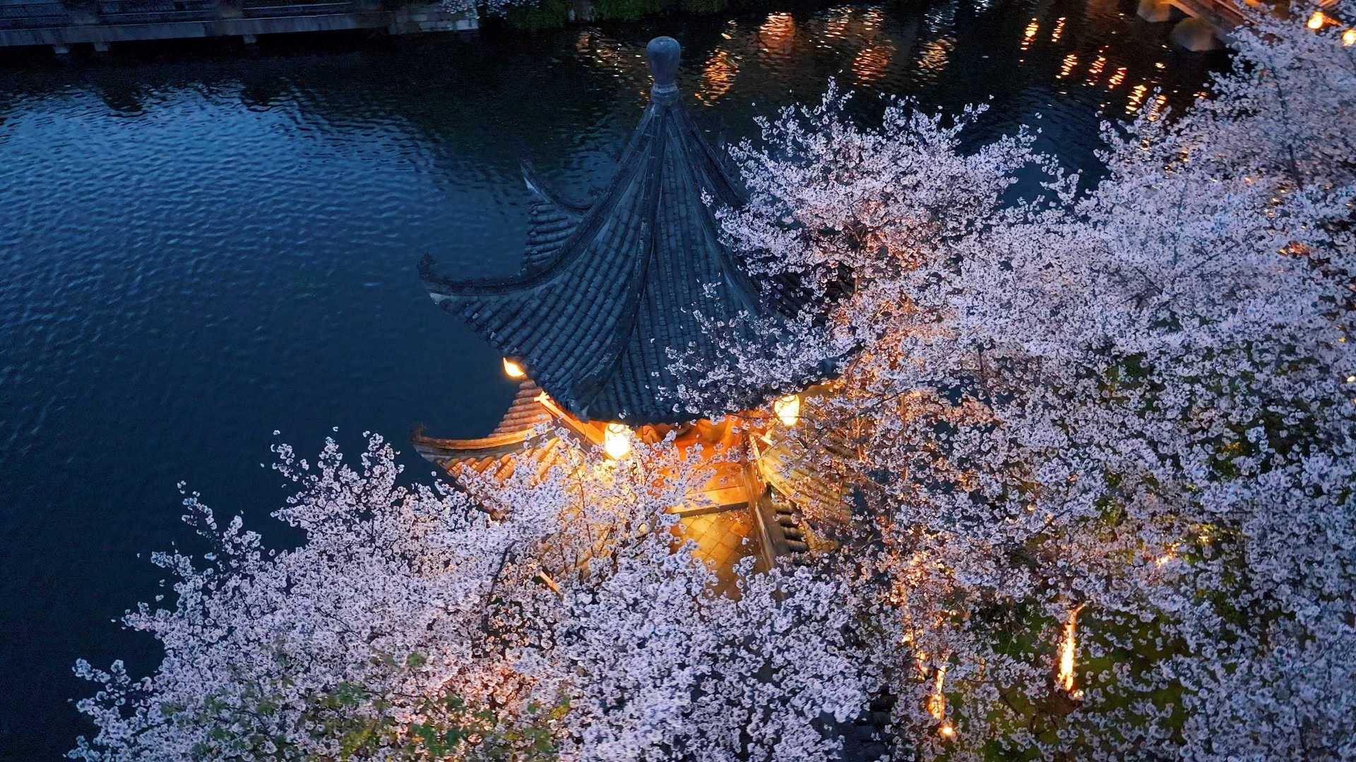 走进杭州赏樱天花板——中国院子，感受极致的中式园林美学