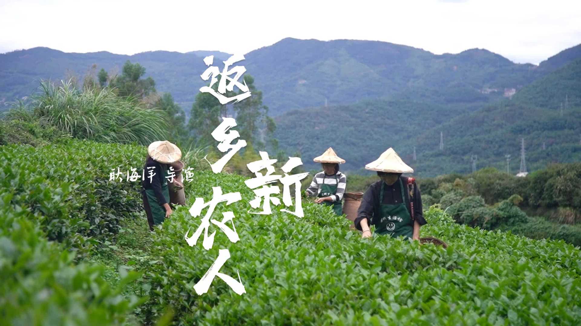 年轻夫妻从上海返乡创业 种茶卖茶成了新农人