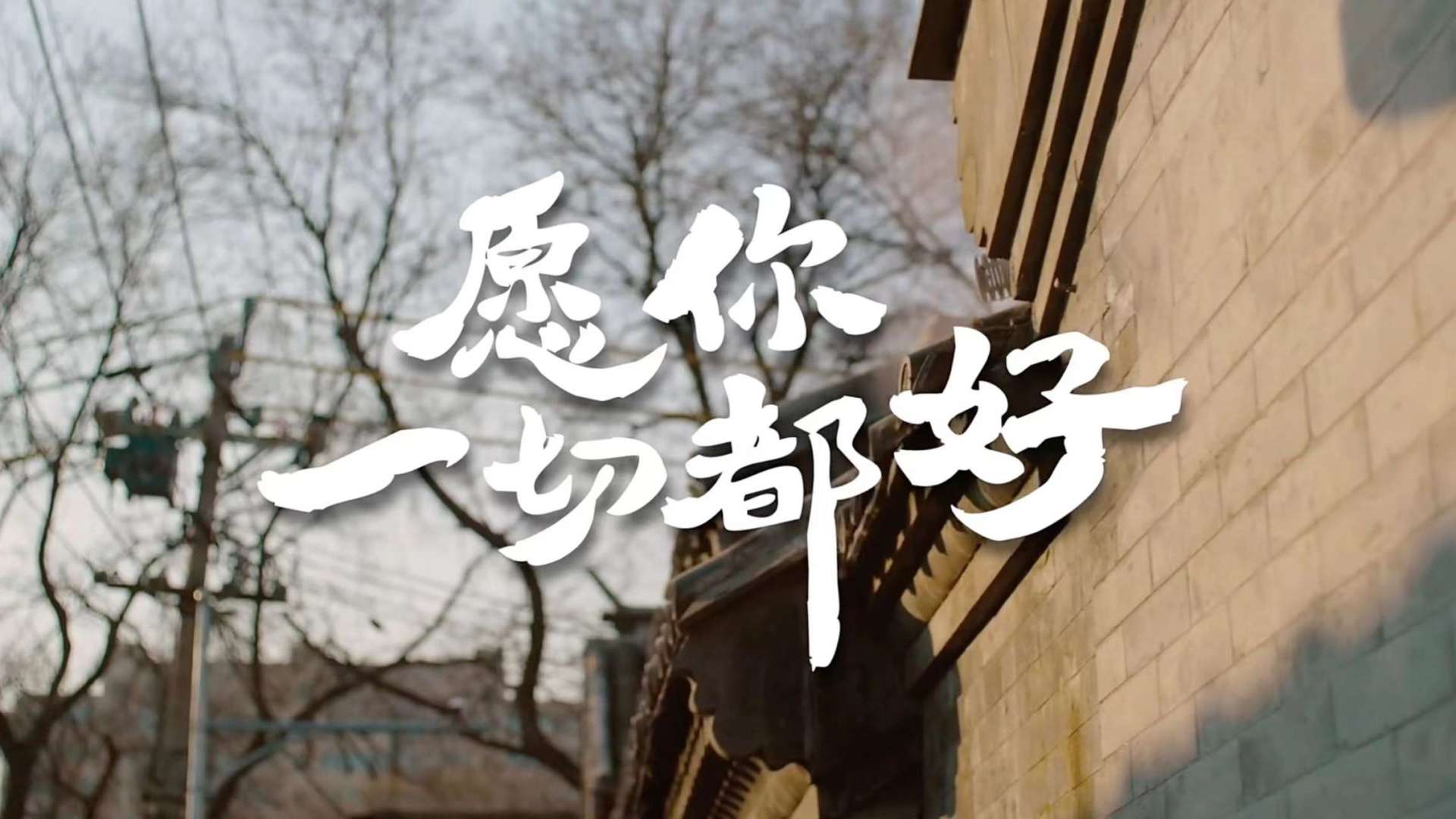 京东年货节宣传视频《愿你一切都好》