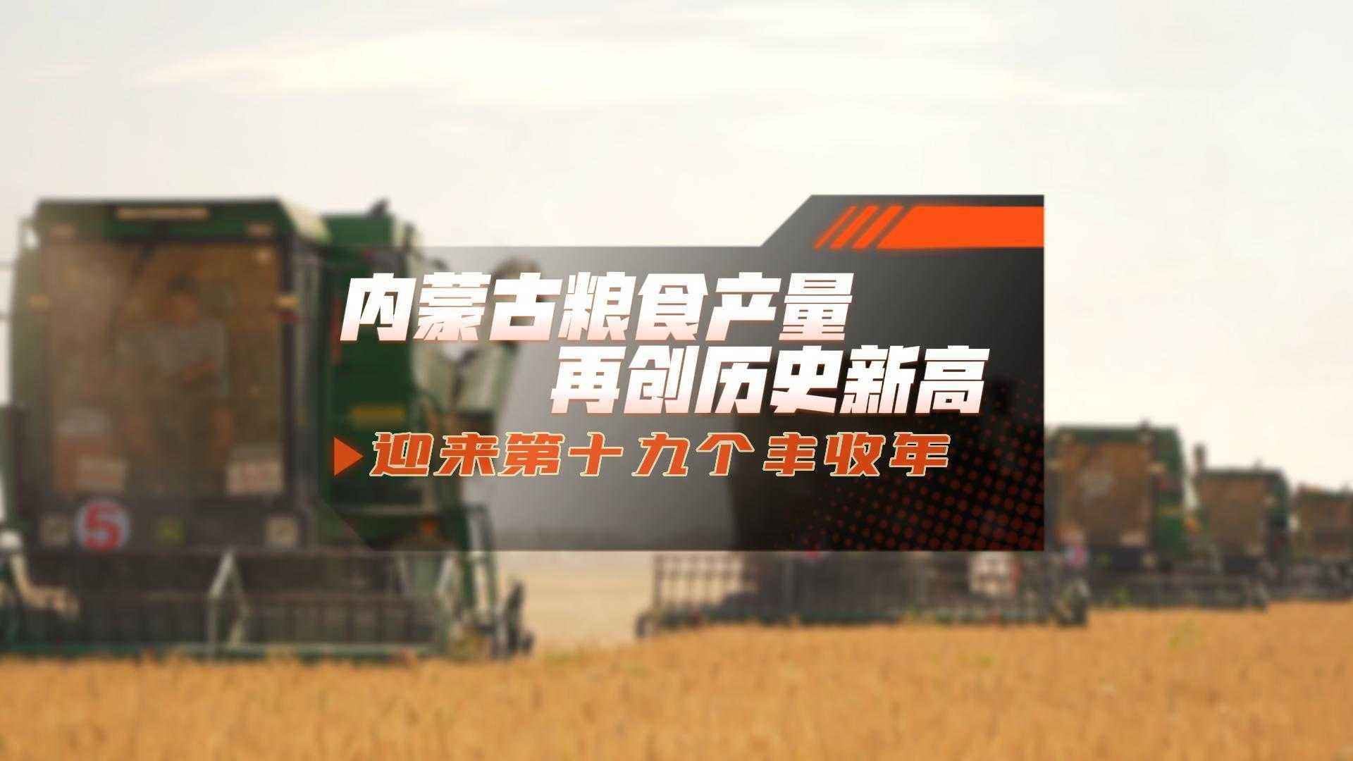 内蒙古粮食产量 再创历史新高 迎来第十九个丰收年