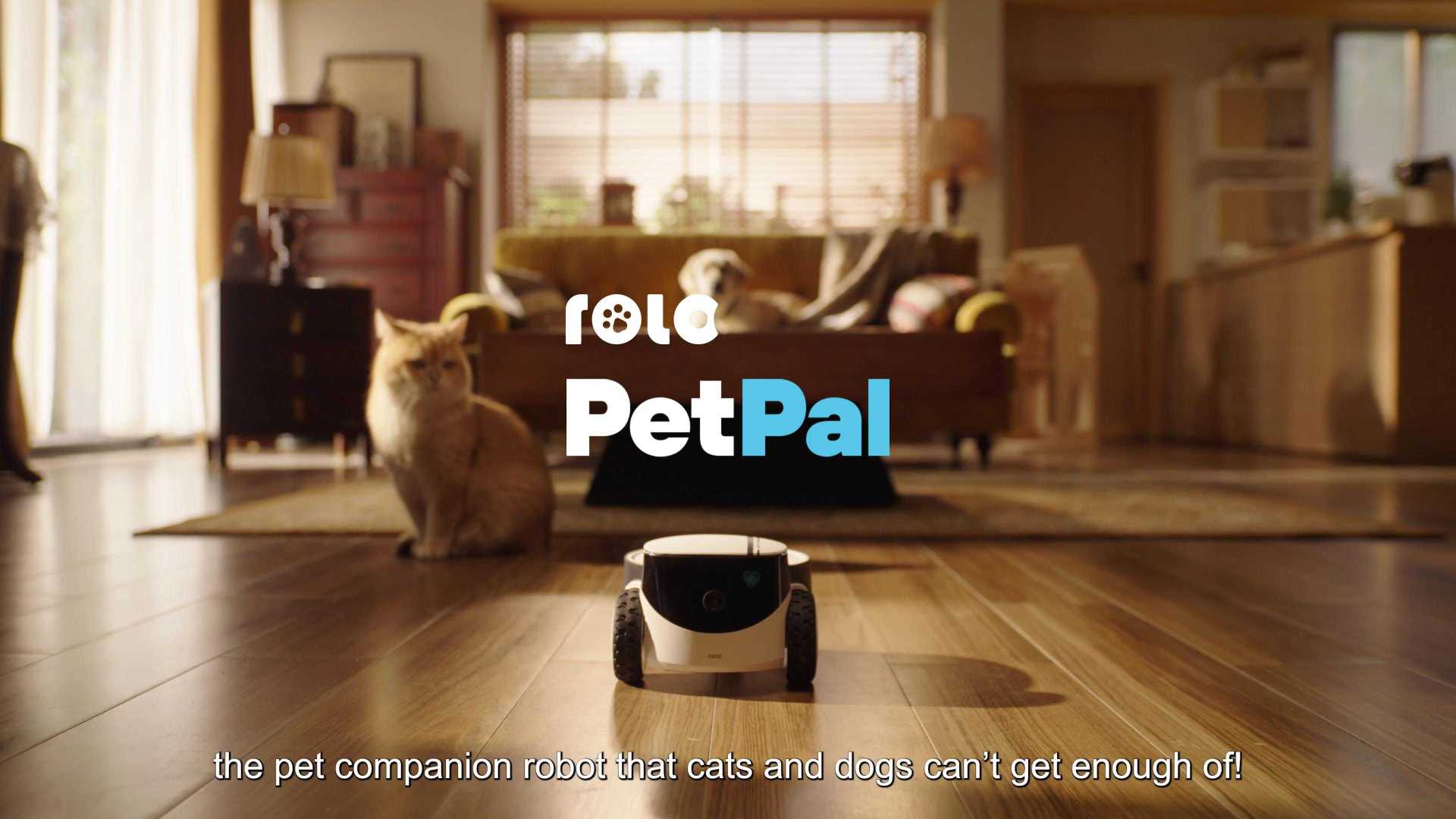ROLA PetPal 一诺宠物陪伴机器人