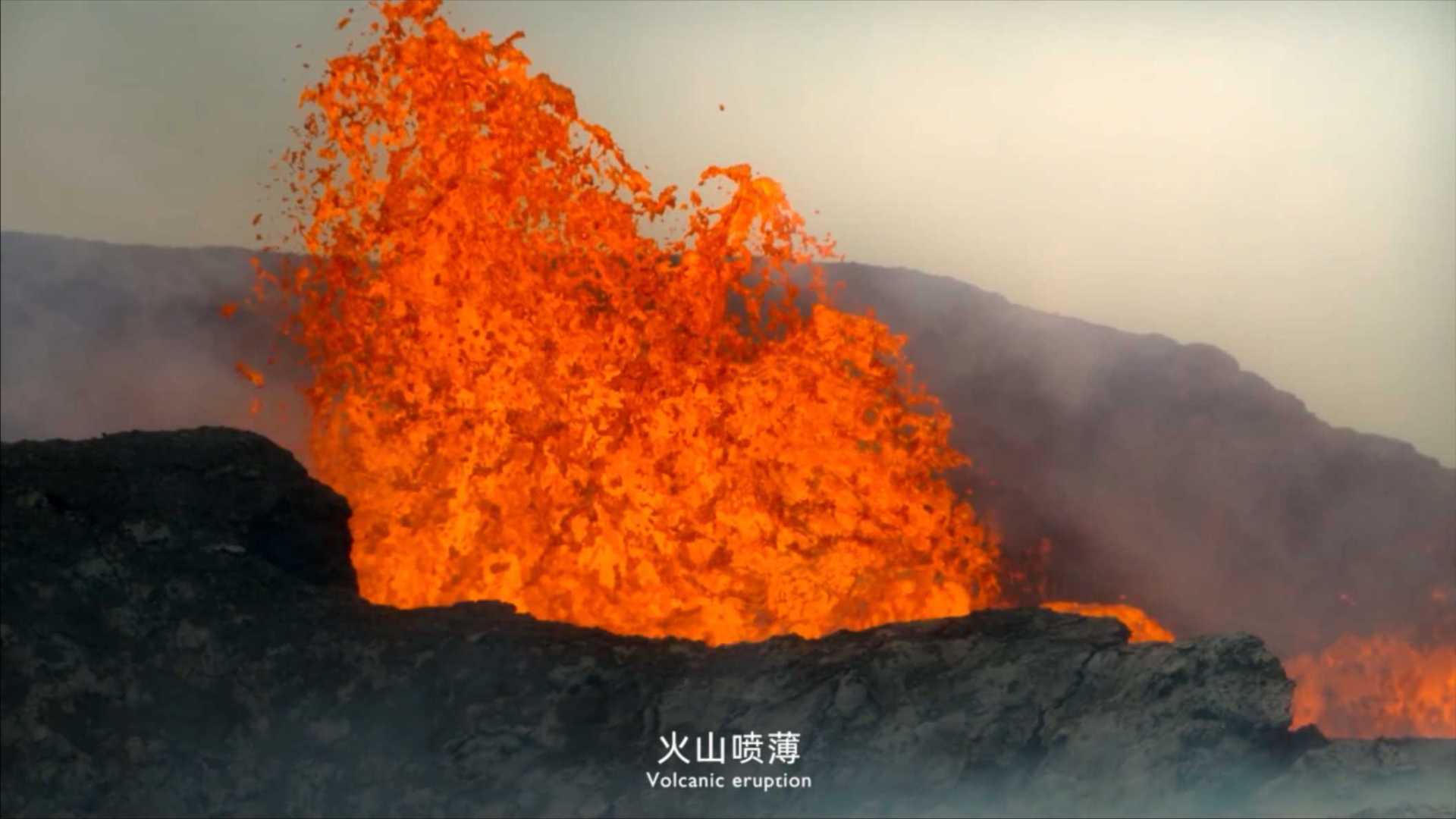 上海电气-上海锅炉厂有限公司2023宣传片《能无界·，创无限》