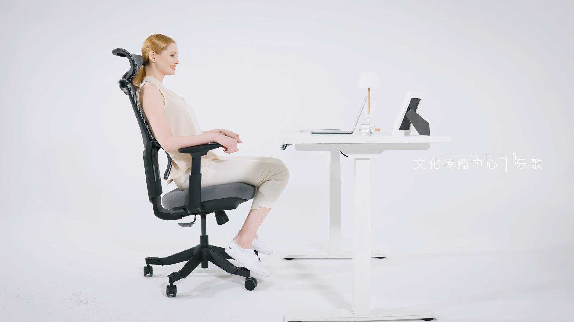 FLEXISPOT BS8椅子产品视频