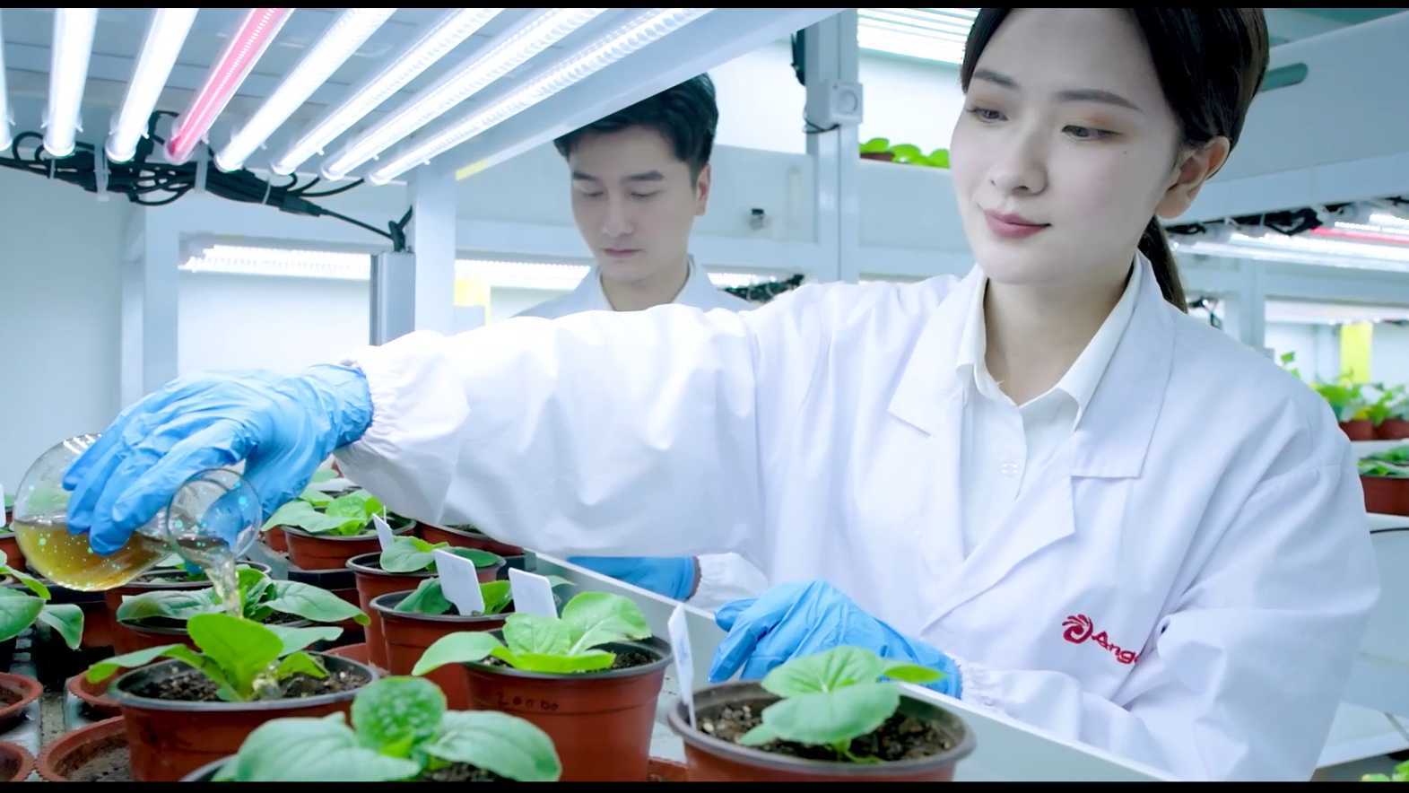 安琪酵母农业科技概念宣传片