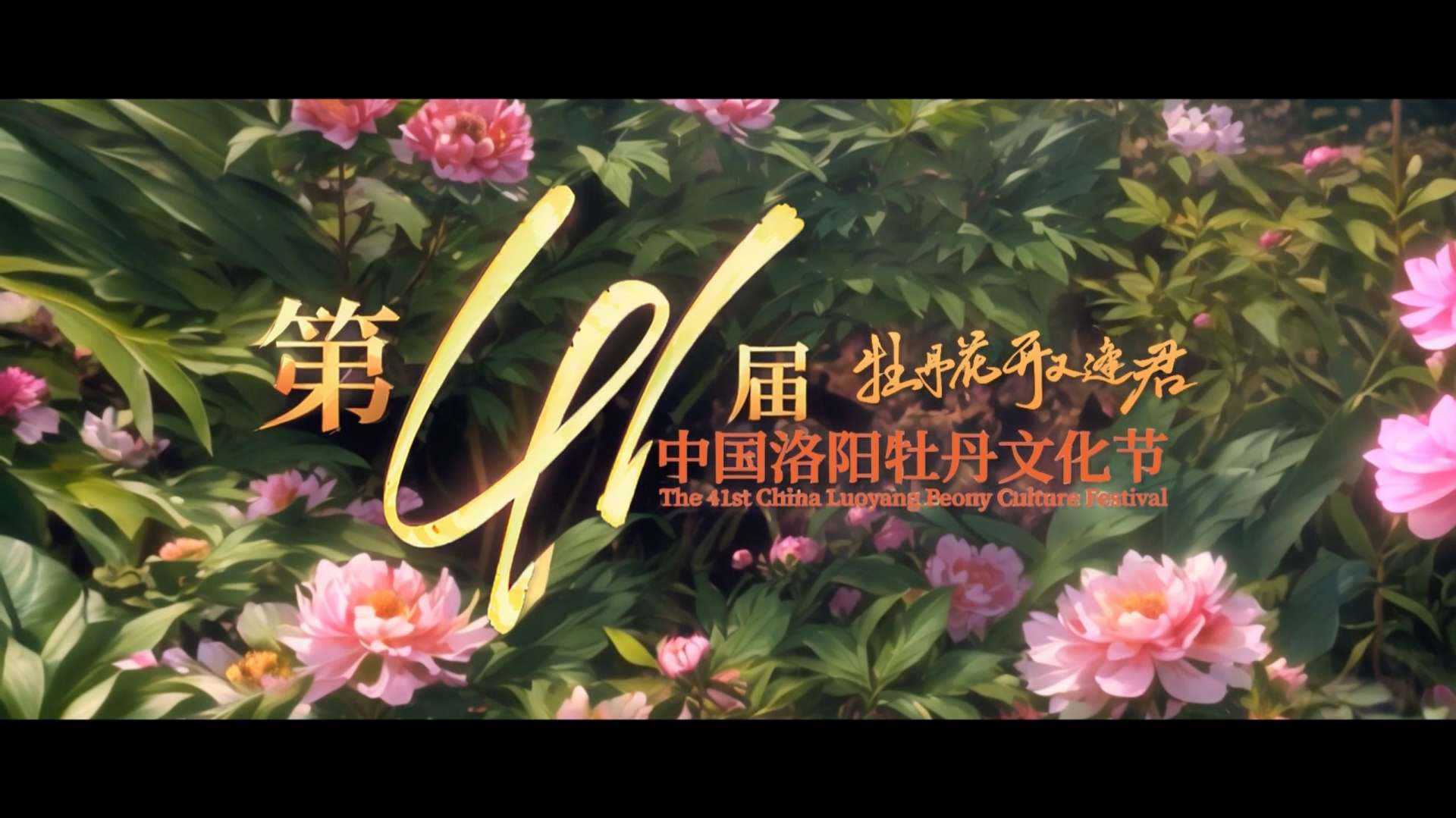 第41届中国洛阳牡丹文化节AI宣传片