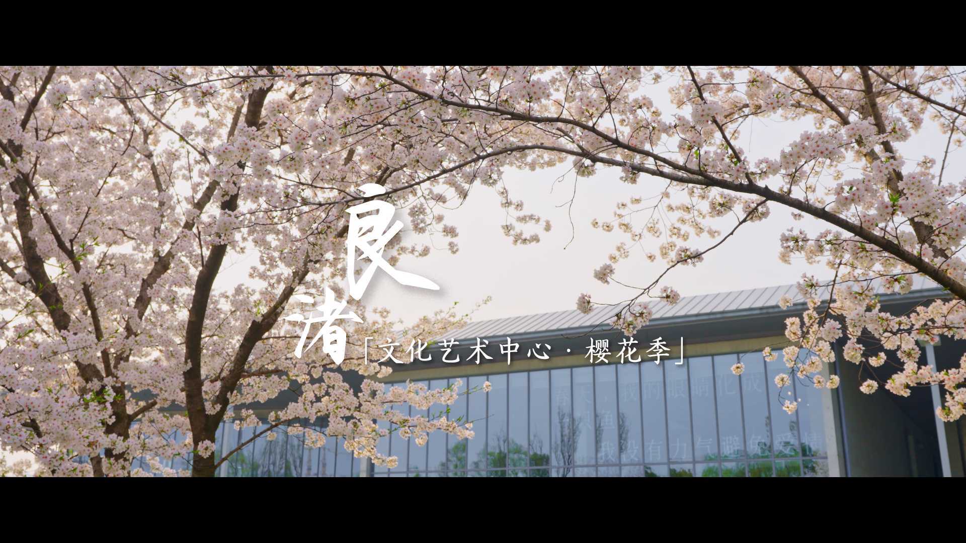 良渚大屋顶樱花