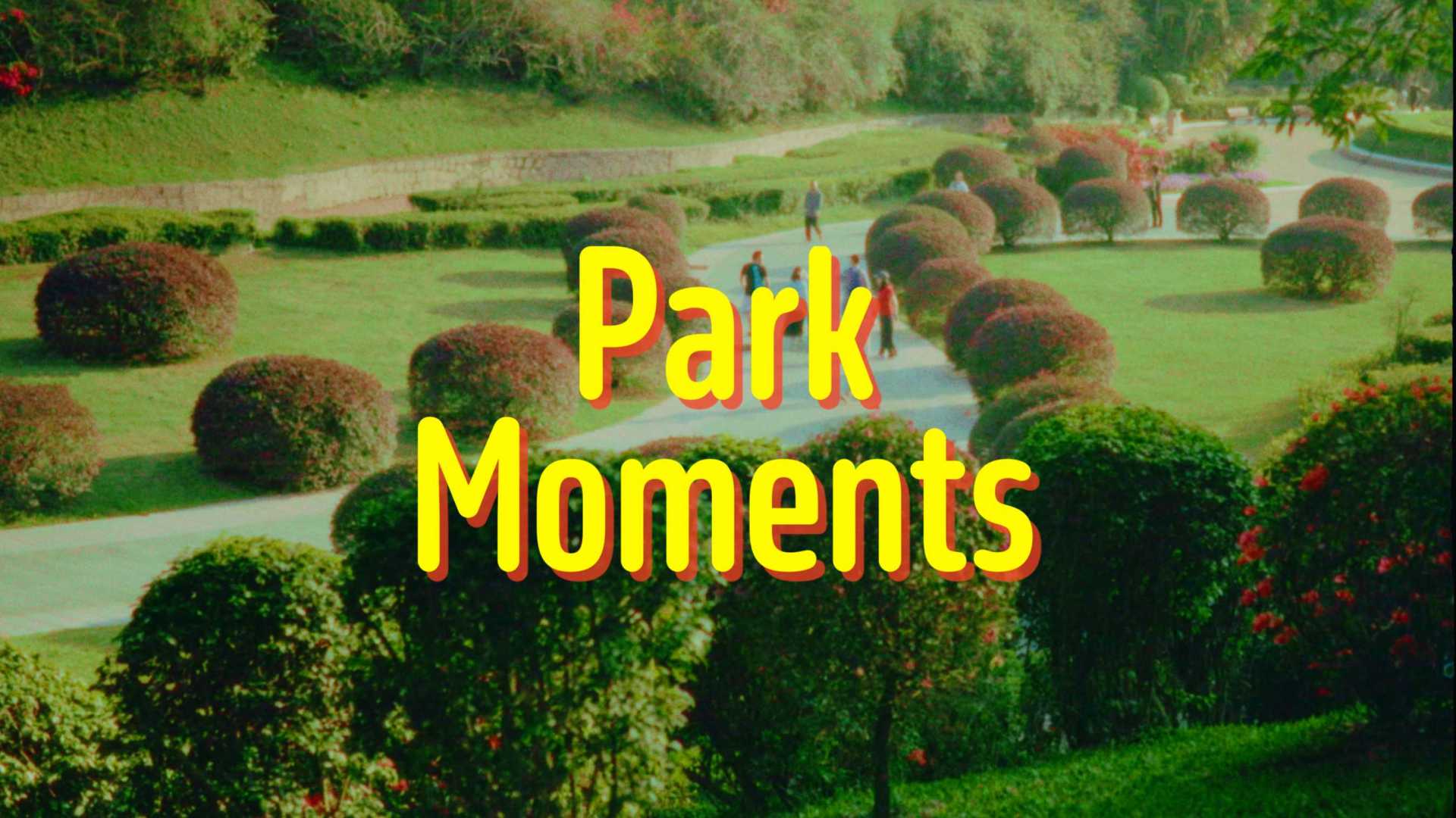 “当我们在公园散步，我们可以不用谈论” / 深圳中山公园 电影感复古短片 ?
