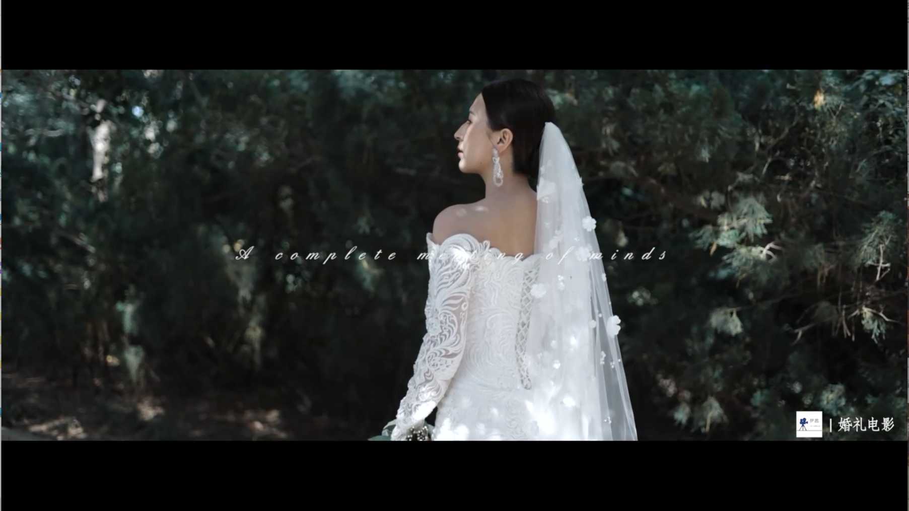 时尚唯美婚礼视频-集锦