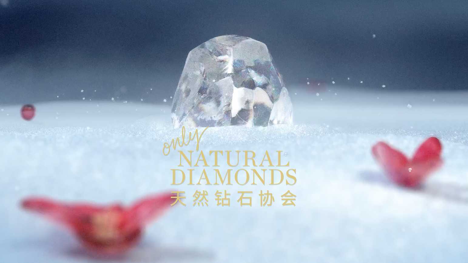 天然钻石协会「龙腾耀自然 璀璨照新年」
