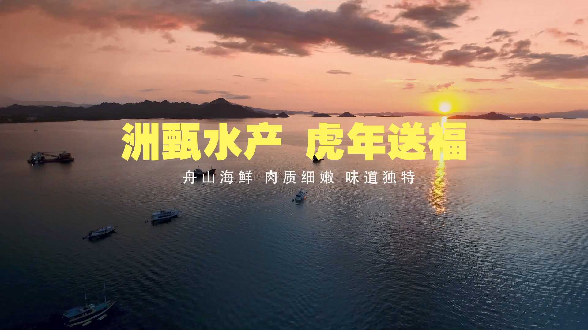 舟山水产-年货特送宣传短片