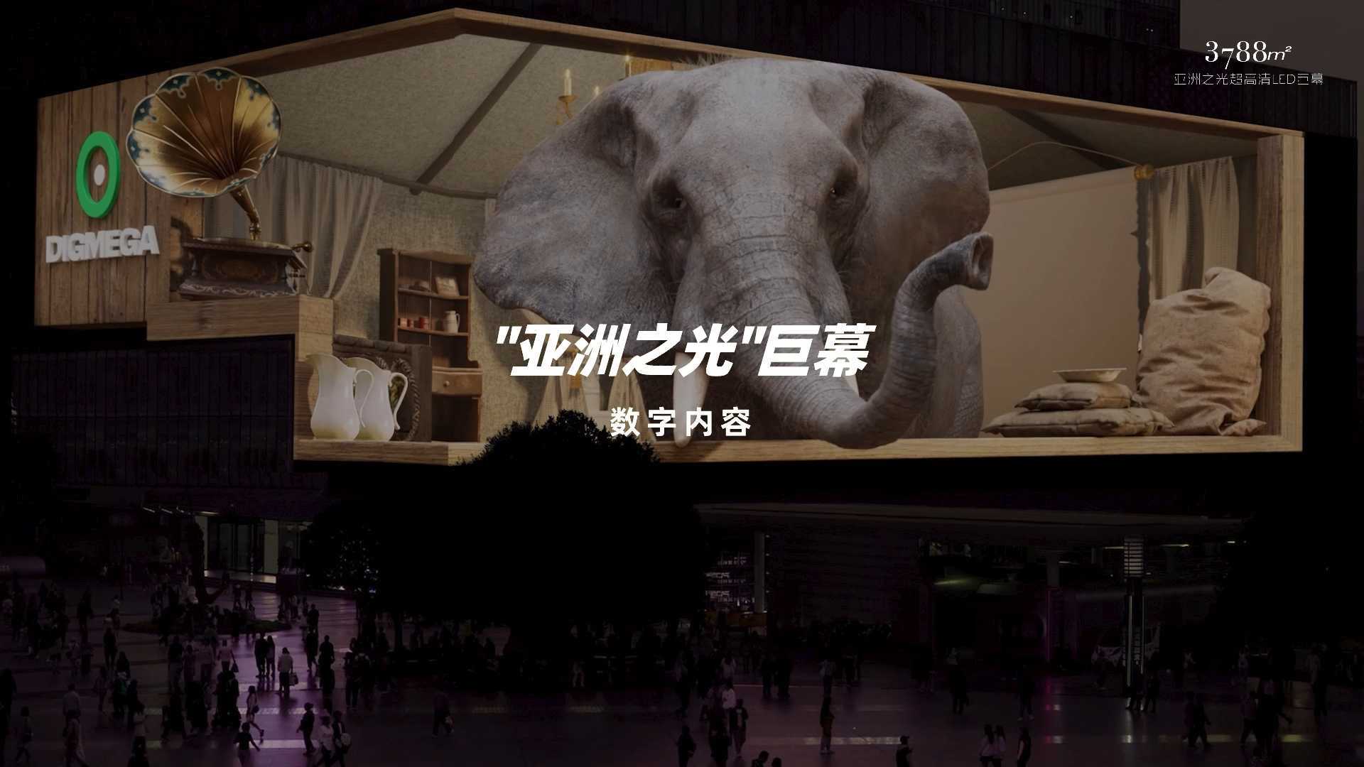 音乐起~裸眼3D大象戏喷泉，上演全新视觉冒险！