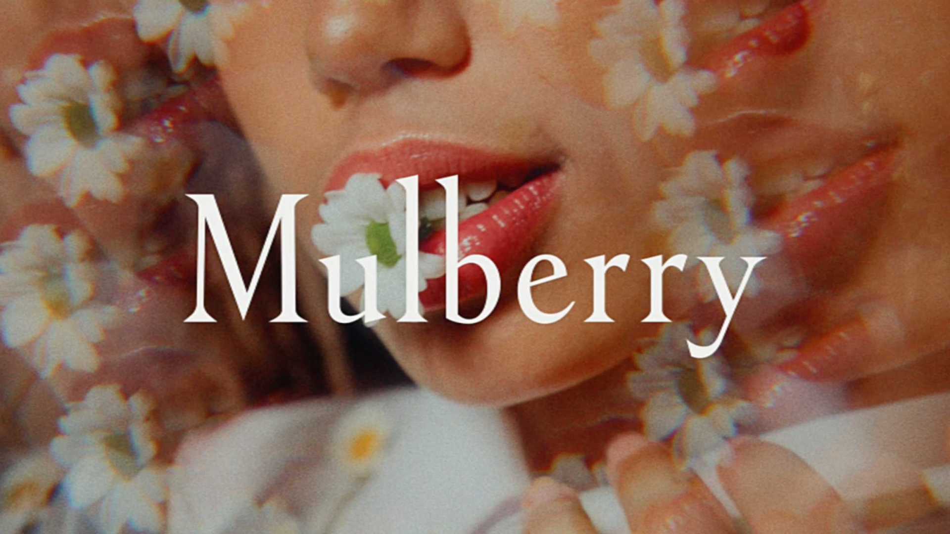 Mulberry Campaign