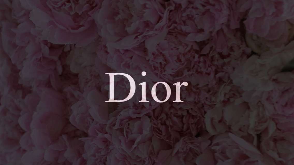 Dior巴黎大秀｜维多利亚·贝克汉姆 X 卡尔·拉格斐 X Asap Rocky
