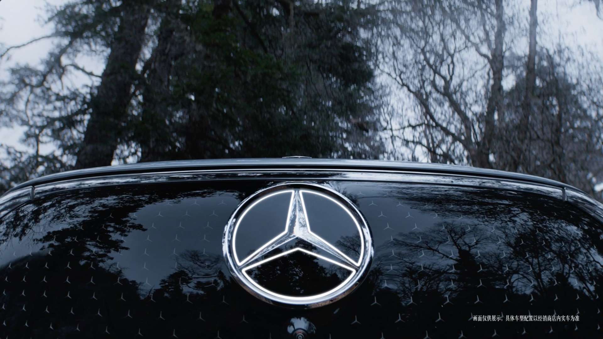 Mercedes-Benz_DIR
