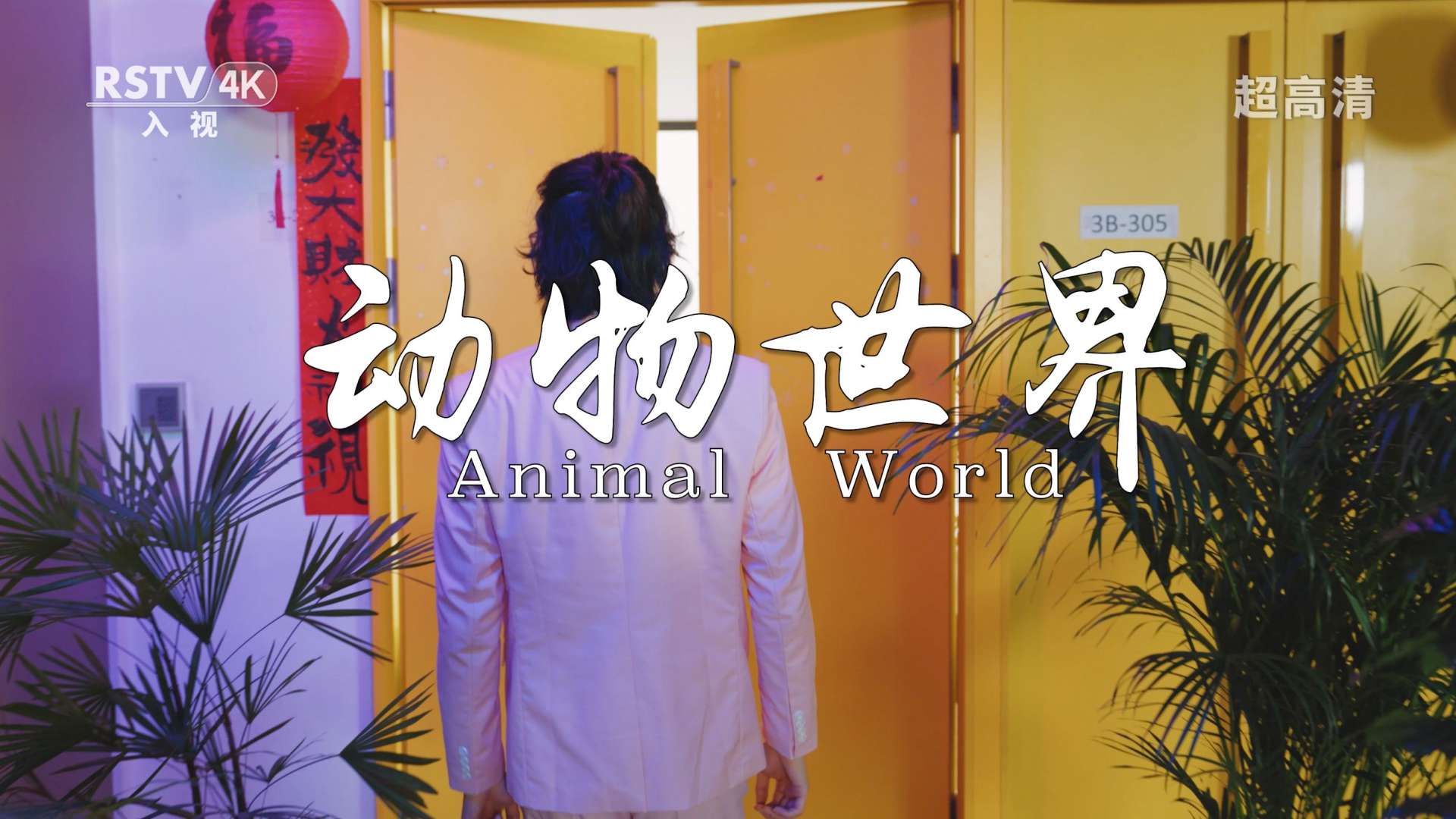 看看杭州传媒公司职场的那些事情《动物世界》